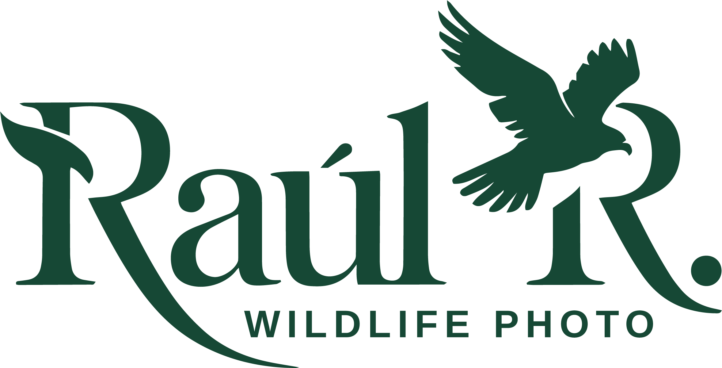 Raúl R. Fotografía — Fotografía de naturaleza, fauna, viajes y talleres.
