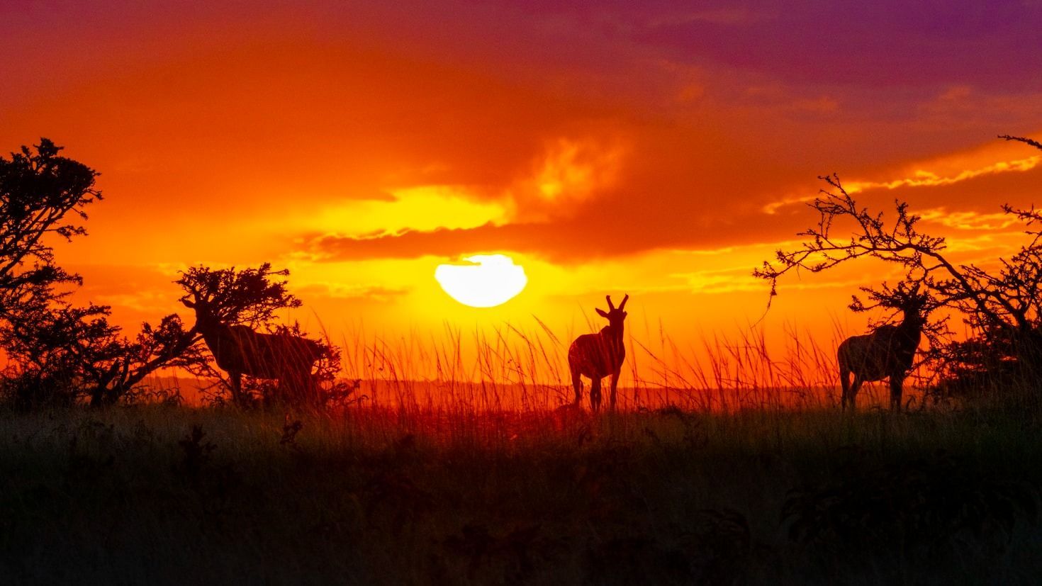 Viajes imprescindibles para fotógrafos de naturaleza